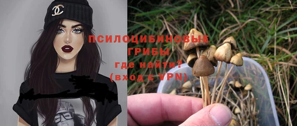 хмурый Алзамай