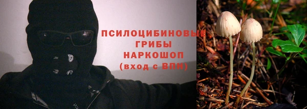 хмурый Алзамай