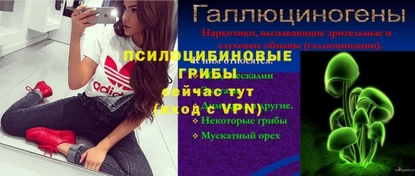 хмурый Алзамай