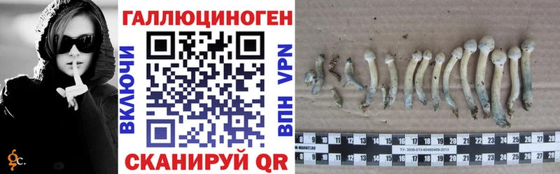 Галлюциногенные грибы Cubensis Микунь